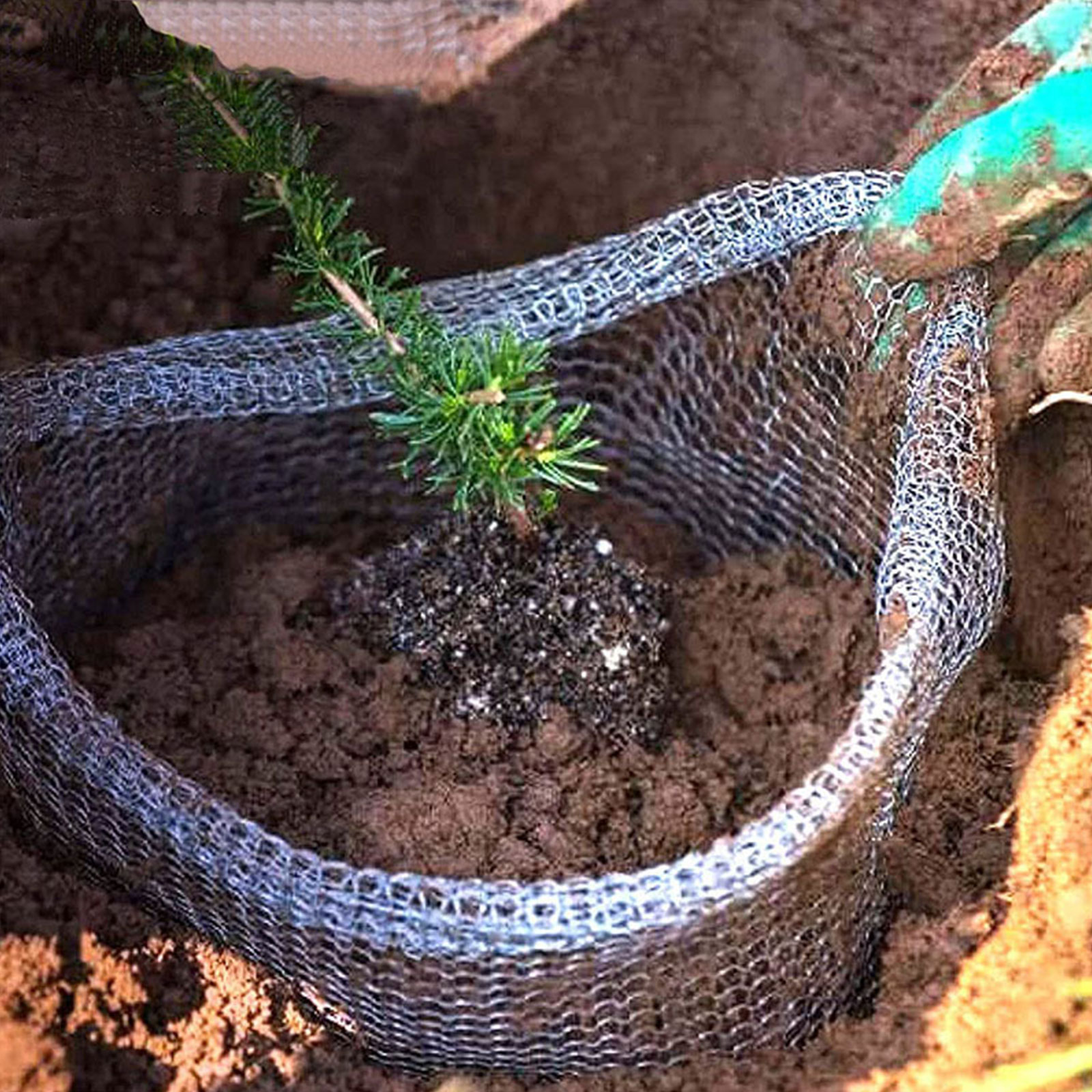 Plant Root Guard Baskets Garde – Mesh Stainless Strap recenzja i cena