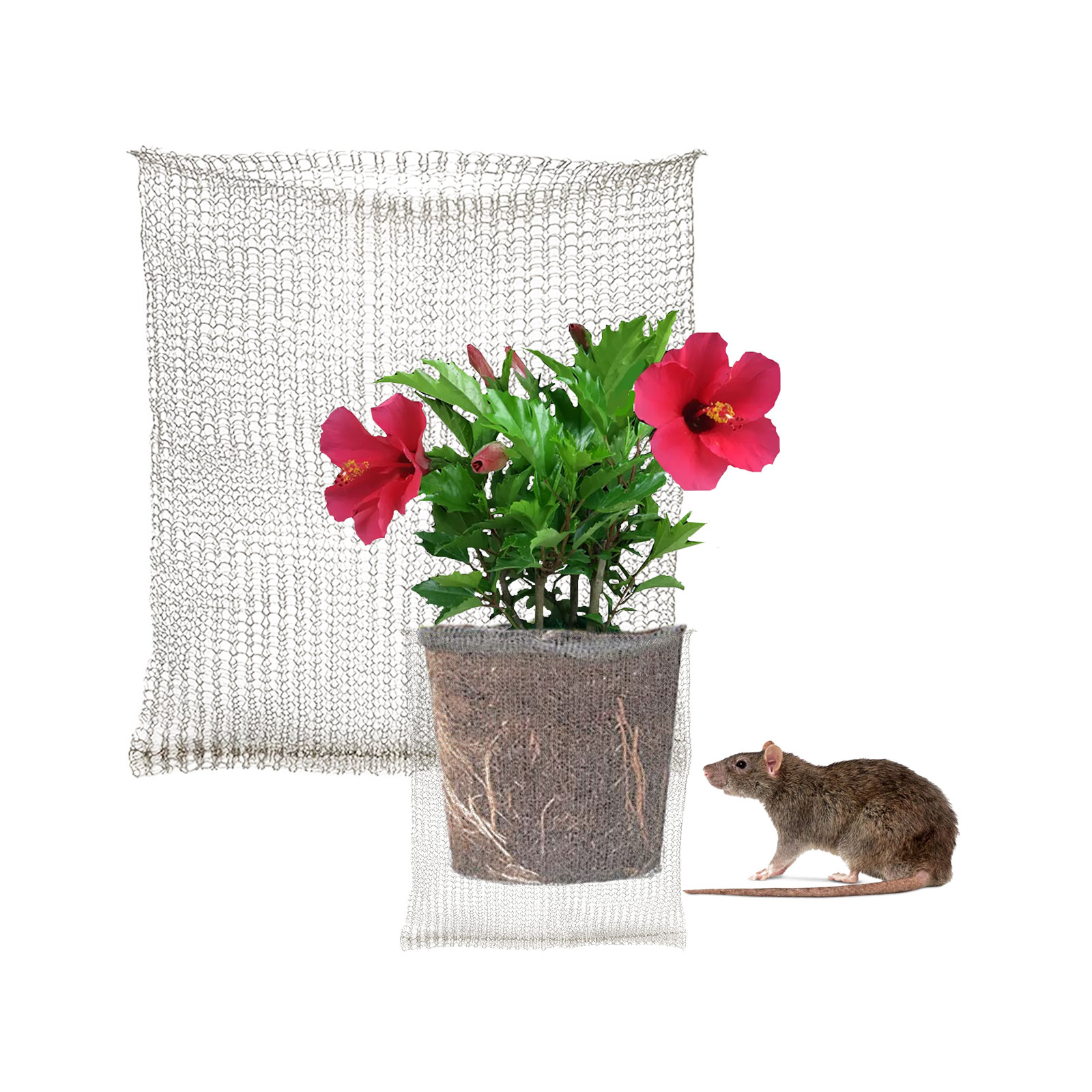 Plant Root Guard Baskets Garde – Mesh Stainless Strap recenzja i cena